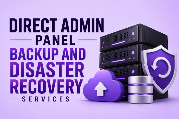 Direct Admin Panel Backup and Disaster Recovery Services